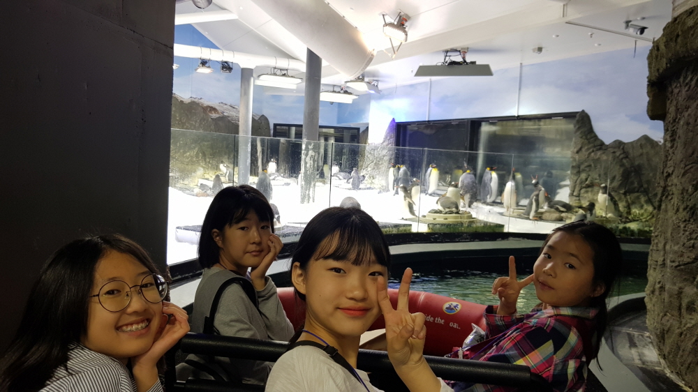 3552807562_1SkhoVfW_cc7b24462bc5348d697a9358d4a775b7ded2a4f4.jpg 이미지크게보기