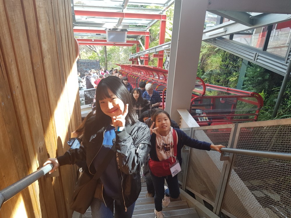 3552807562_RWB25E1f_0bf1374bc1f5499bc98e3b4ff676a8d4790a7a90.jpg 이미지크게보기
